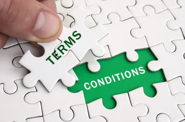 travel agency terms and conditions